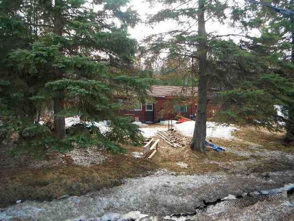 STEVE YANCH tweet media