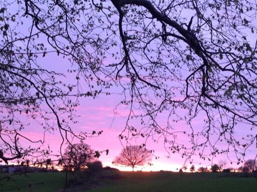 DaveThroup's tweet photo. Pleasant end to the day in #worcestershire http://t.co/Ia6Mf8ueRI