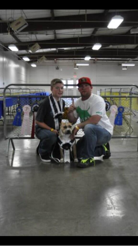 SemiTweet's tweet photo. #WestCoastEdge Fancy taking home best standard bully and best of winners in both shows at San Jose last week http://t.co/YgPiMIBCHn