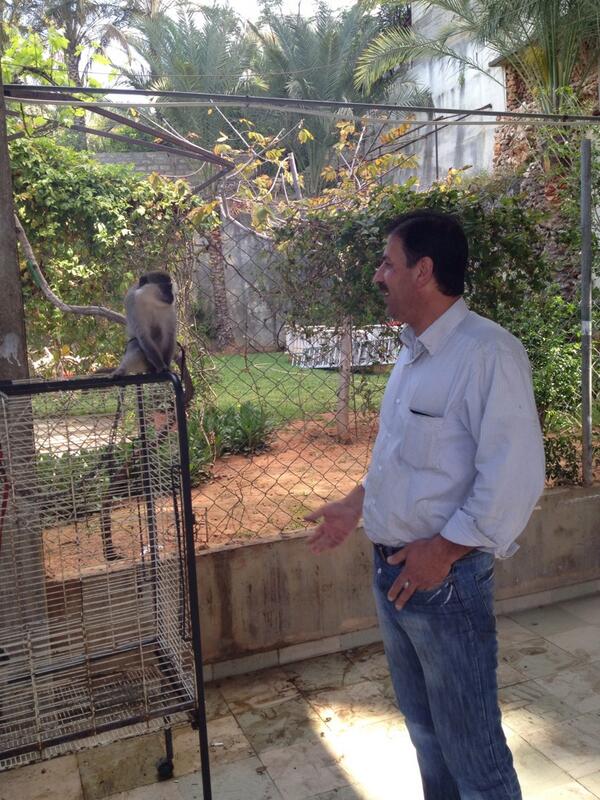 DecoMaalof's tweet photo. http://t.co/AsO33vhF3e