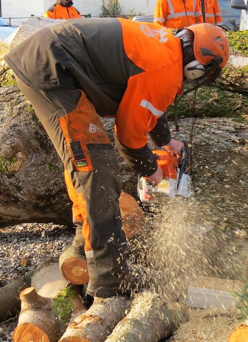 TreeSurgerycom's tweet image. Orange is so &quot;This Year&quot; (and last year and the year before) for tree surgeons...