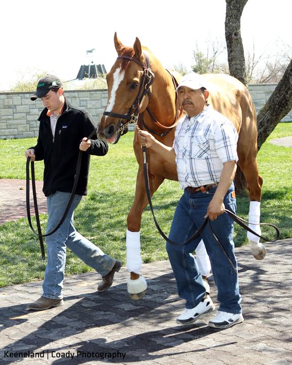 FanDuel_Racing's tweet image. T-minus 21 hours until this guy! First time he'll be #TVGinHD too: bit.ly/TVGinHD #WiseDan
