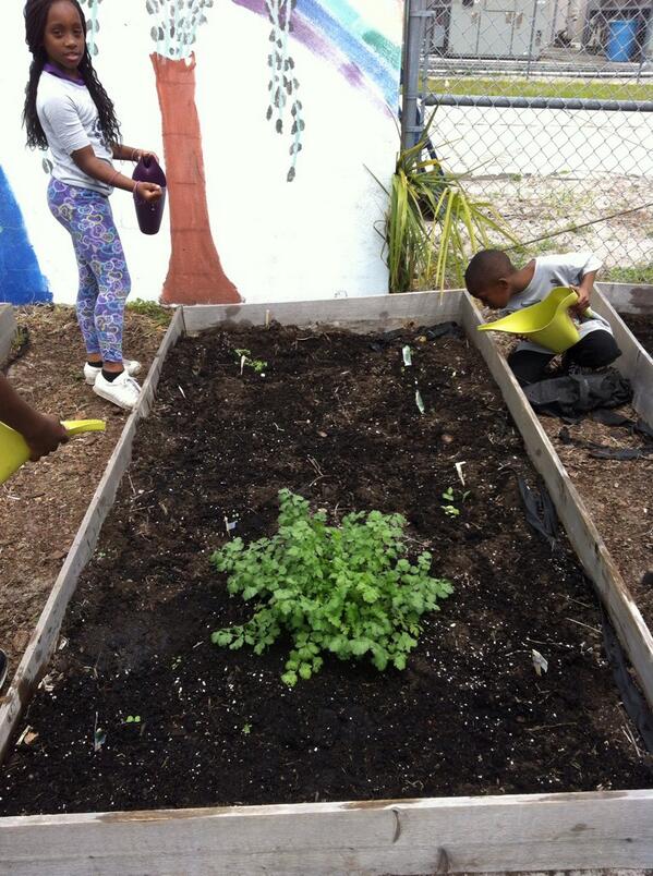 MsKlym_HGE's tweet photo. Watering our plants @MsPahl_HGE http://t.co/sbPWQi1iF4