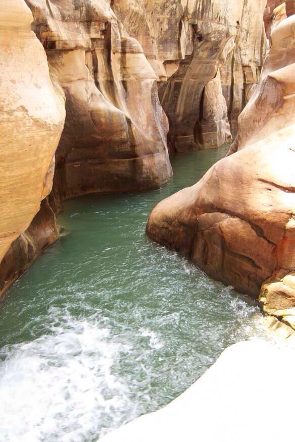 wildjordan1's tweet photo. TOMORROW is the opening of Siq trail in #Mujib_Reserve @RSCNJordan @ToledoAmman @GuideJordan @JordanTuesdays #jo http://t.co/K44GpdrmAr