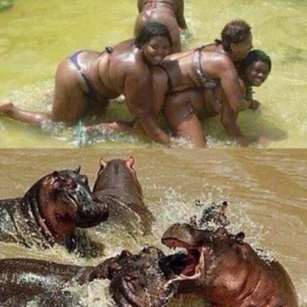 IGNORA2's tweet image. Cualquier parecido con la realidad es mera coincidencia