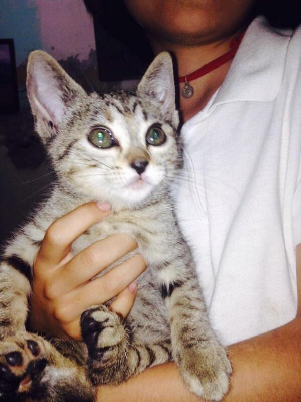 LucatGam's tweet image. La nueva Integrante de la familia