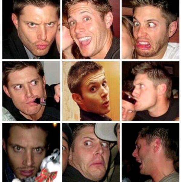 SamspnW's tweet image. "@WinchestersDog: @SamspnW Oh look, I found another. http://t.co/tIDAcO5bXP" oh how majestic