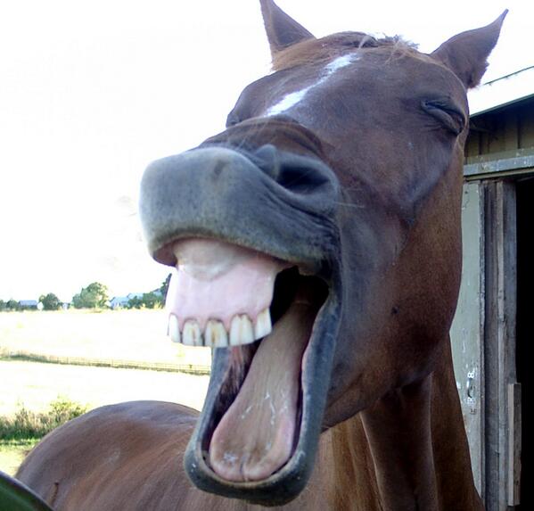 When you see your ex has downgraded
