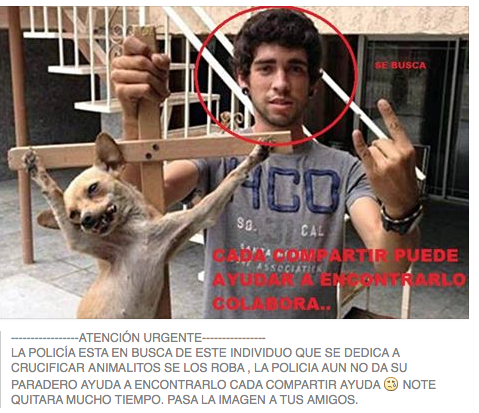 rodrigonalexisc's tweet photo. “@enriquejosemata: DENUNCIAR A ESTE CRIMINAL DONDE LO VEAS ... LA POLICIA QUIERE SUS DATOS. http://t.co/IB65ByLfL4”...@CNNEE