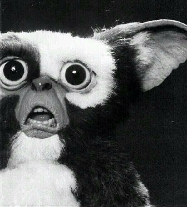 IGNORA2's tweet image. - Amor no me a bajado
-