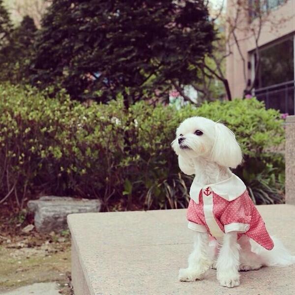 pt_moomoo's tweet photo. น้องปริ๊นซ์จากไอจีแทยอนกริ๊ดๆๆๆๆๆ http://t.co/nQ6vBO0iyD