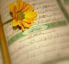 hno_663's tweet image. سوره الكهف نور بين الجمعتين"