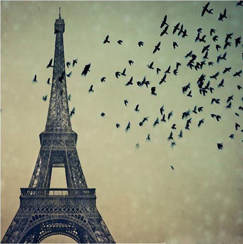 darkdevilfuck's tweet image. Visi, kas #RT šo tvītu , sekošu. / Nav saistīts ar tekstiņiem, bet tāpat / .