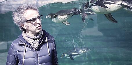 Pierrick Allain (@pierzoleblog) on Twitter photo Visite guidée avec Vincent Delerm au Zoo de Vincennes 
dailymotion.com/video/x1nnq6v_… Visite guidée avec Vincent Delerm au Zoo de Vincennes 
dailymotion.com/video/x1nnq6v_…