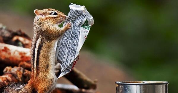 OMGFacts's tweet photo. These 25 Photos Were Accidentally Timed So Perfectly That They’re Brilliant --> http://t.co/aP7J0p6jcc http://t.co/5WqJacM6U0