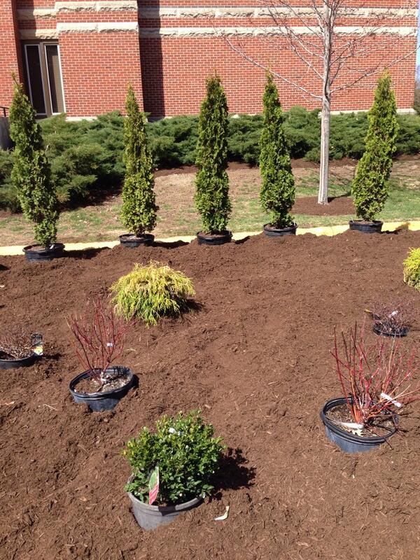 PurdueHortClub's tweet photo. We finished the landscape yesterday. Thanks to everyone who helped. It looks great http://t.co/LCb7MMGxqP