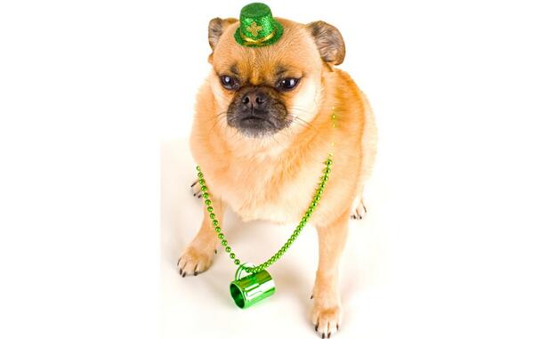 村井真理子 Chibikenkurno Twitter