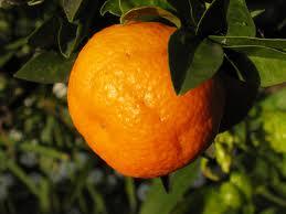 AWiseOrange's tweet photo. Picture of my sister when she was little! #NationalSiblingsDay http://t.co/LaMXMg2nlO