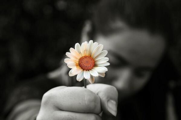 Gabriele_Corno tweet picture