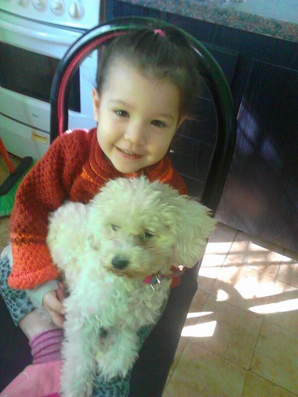 lynurquiza's tweet photo. Ella es Api se la robaron en #hurlingham anoche.Su dueña es la nena de la foto por favor.Hayrecompensa @lozanoveroam http://t.co/yZzZQANLRa