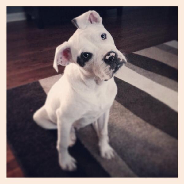 bistwit's tweet image. "Dafuq you talkin' bout?"