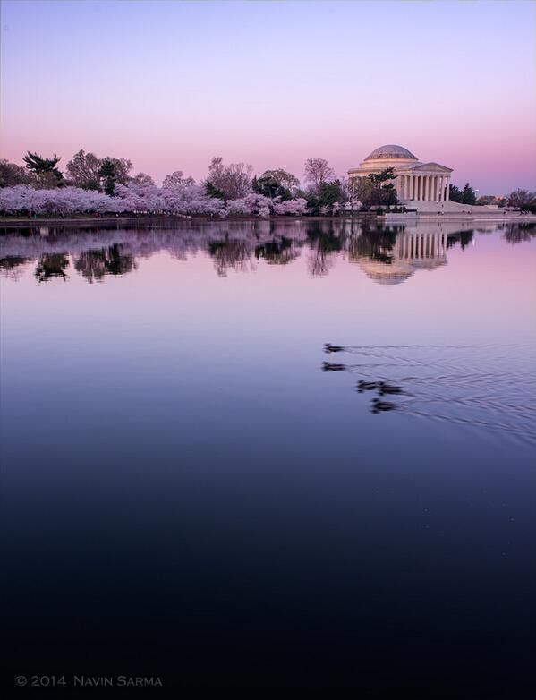 7NewsDC tweet picture