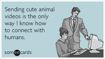 SaveVidApp tweet media