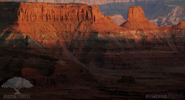 uncbluesky's tweet image. Now, #DigitalForest: a consult. grp of @UNCJschool @PoweringANation alum for environmental promo vids #ReesePitch