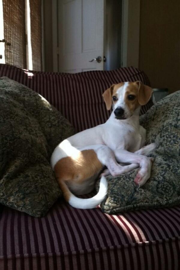 thugollie's tweet photo. Don't, stop, thinking about tomorrow. http://t.co/4kdiwwRhzx