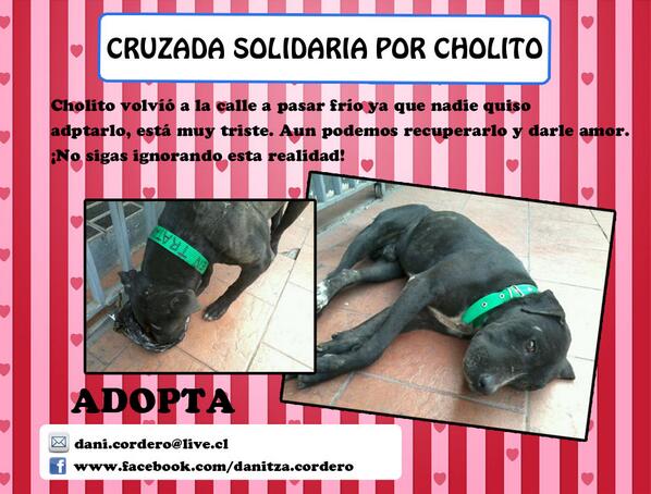 Adoptasanfelipe's tweet photo. RTSn Felipe5 reg @mievy2 @Carnaval_FM @RD_Dixon @aconcaguaradio @Verofilu @miSanFelipe @FRECUENCIA7TV @GiorgioJackson http://t.co/iVADdsrBXa