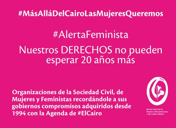 RSMLAC's tweet photo. @Ramon_Torre_C #AlertaFeminista: Nuestros derechos no pueden esperar 20 años más #CPD47 http://t.co/eD3Kn1YInF