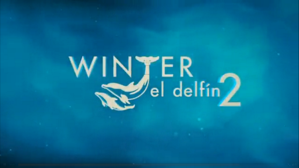 AurelioElLobo's tweet photo. La esperanza llega este año a ‘Winter el delfín 2’ 

¡Muy pronto! --> http://t.co/R06FstOUc1 http://t.co/0DYCWu73hp