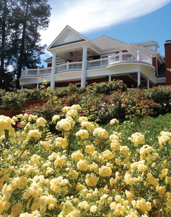 DecaturGardenTr's tweet image. Beautiful roses cover the lawn and climb the walls of our presenting sponsors' private haven  bit.ly/1kdhMds
