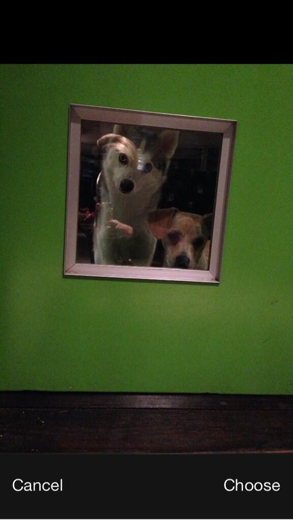 miley tweet picture