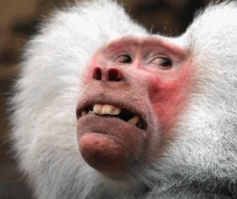 L.B.H’s pics and videos