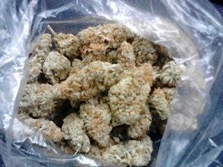 KJerdo's tweet photo. Studio time cookie make hit! http://t.co/eVXIgD71lw
