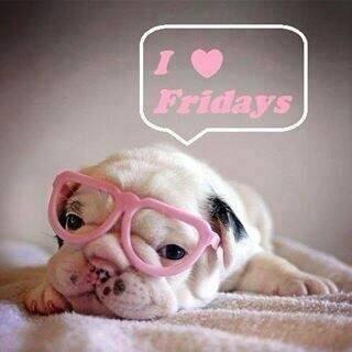 HTlynbrook's tweet image. 