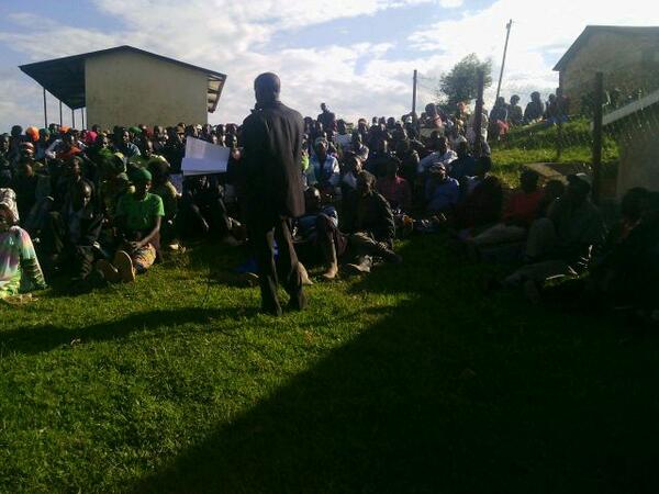 mushubi tweet media
