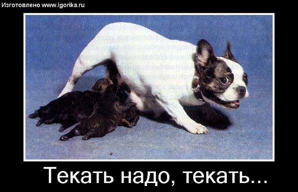 Garry_Muse's tweet photo. Тяжелое бремя - материнство! Еще много смешного на http://t.co/xNroasViIl http://t.co/V0Z6ZRd7ay