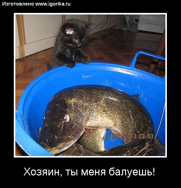 Garry_Muse's tweet photo. Вот это подарочек! Еще много смешного на http://t.co/xNroasViIl http://t.co/he9tF2llHS
