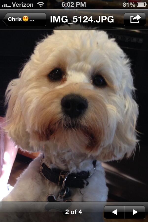 Agapi43's tweet image. My Oliver 💋💋💋💋💋💋