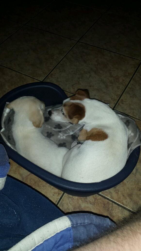 jason2891's tweet photo. Ain't that just the cutest! http://t.co/vvX2oLT0Tb