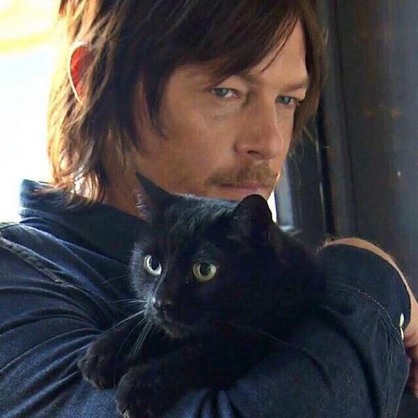 Daryl_TWD01's tweet photo. VOTE NORMAN PLEASEEEE! 
http://t.co/rffbU3uR9x

VOTE NORMAN PLEASE
VOTE NOWWWW @wwwbigbaldhead http://t.co/iuvSSktVTl