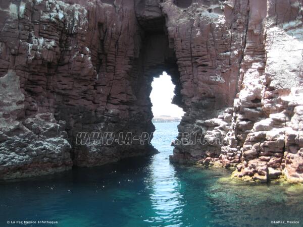 Great shot from <a href="/BajaSurMexico/">Baja Sur Mexico</a>