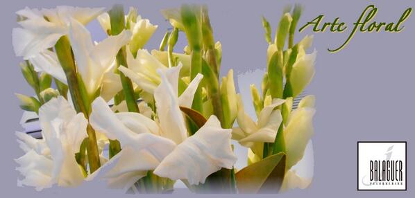 Peluquerosbcn's tweet photo. #JBalaguerPeluqueria Hoy nuestro #artefloral semanal son #GLADIOLOS. Ramo expuesto en centro Via Agusta 113, BCN. http://t.co/oc7PaAk2fO
