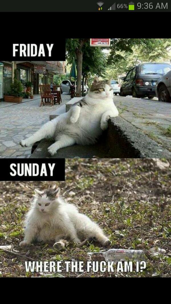 SeeemsLegit's tweet image. Does this happen to you?