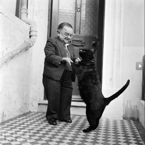 RealKingRegal's tweet photo. Random little person photo with a cat.Magic. http://t.co/OxRghhm0Dd