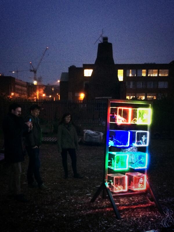 nateadams's tweet photo. Hey @pimoroni thanks for your laser cutting, we got #ProjectNeurone turned on on site @FurnacePark last Friday. http://t.co/KyxhaxHpaG