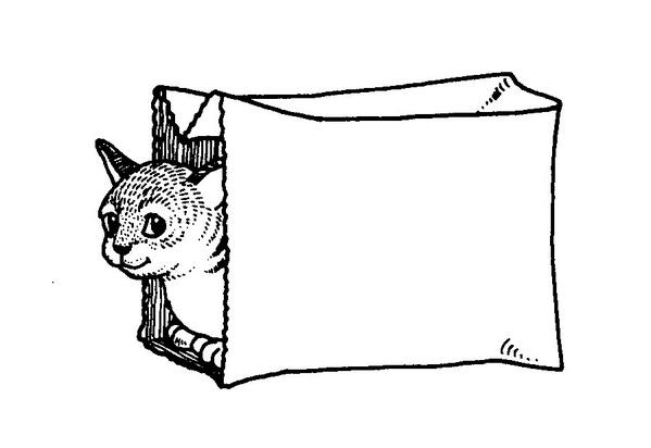 ScottDonovan17's tweet photo. Oh no the cats out of the bag @FrenchfreyIsaac http://t.co/3tEquVxw4N