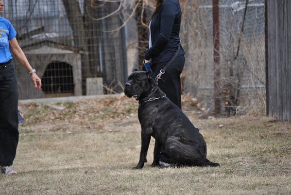 DBCorso's tweet photo. I am enjoying watching him grow http://t.co/QWashSDQDW